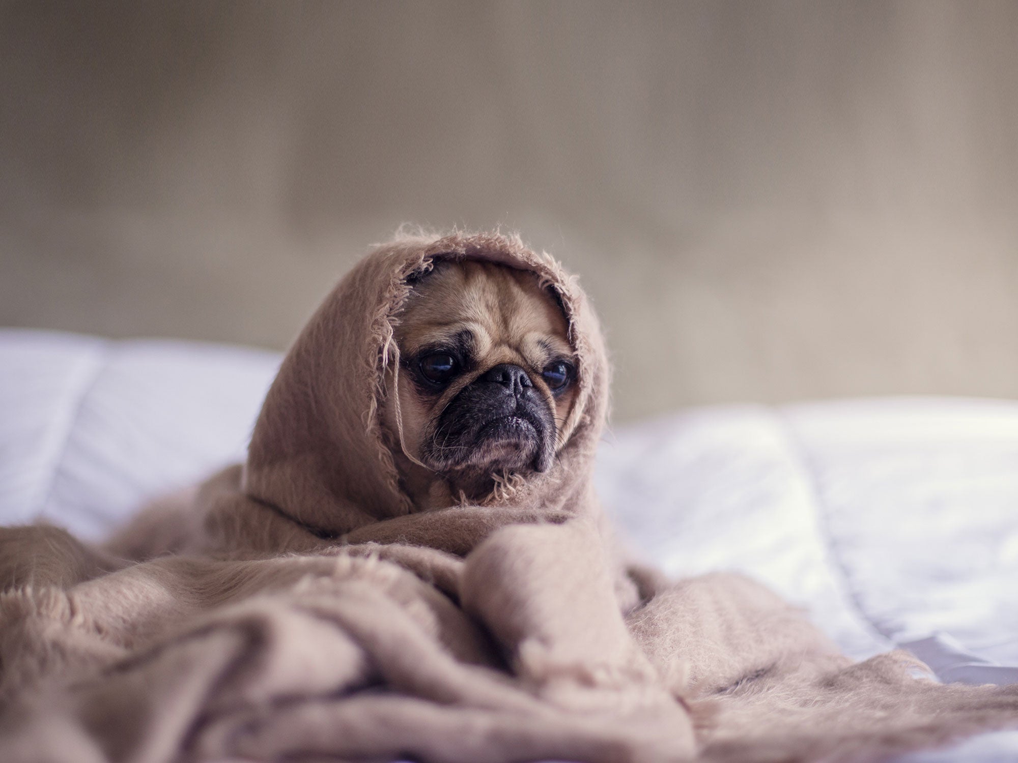 6 Tips For A Better Night's Sleep
