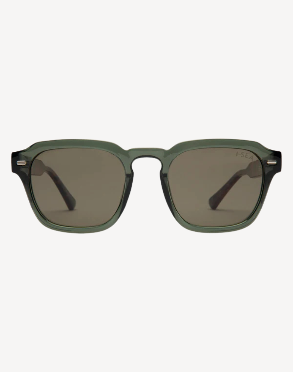 Husdon Polarized Sunglasses