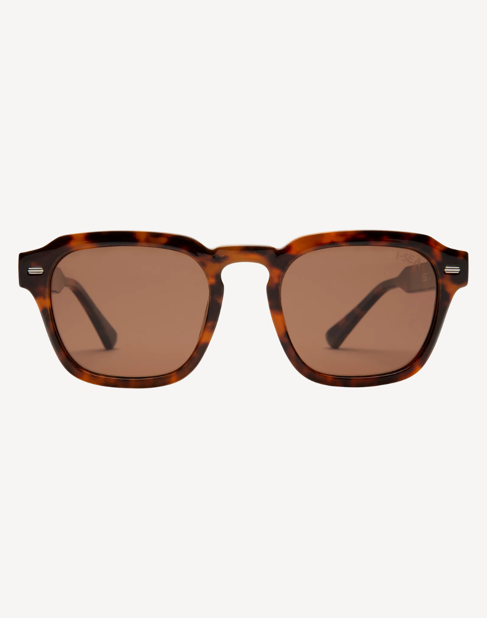 Husdon Polarized Sunglasses