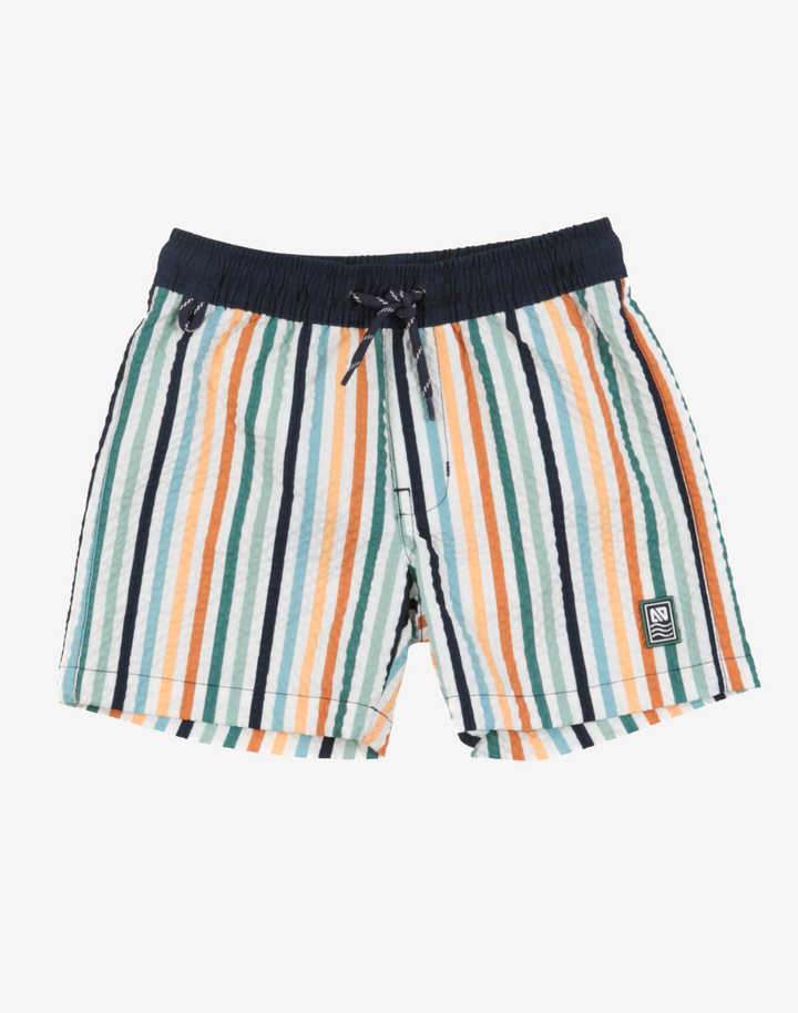 Boys Stripe Swim Trunk