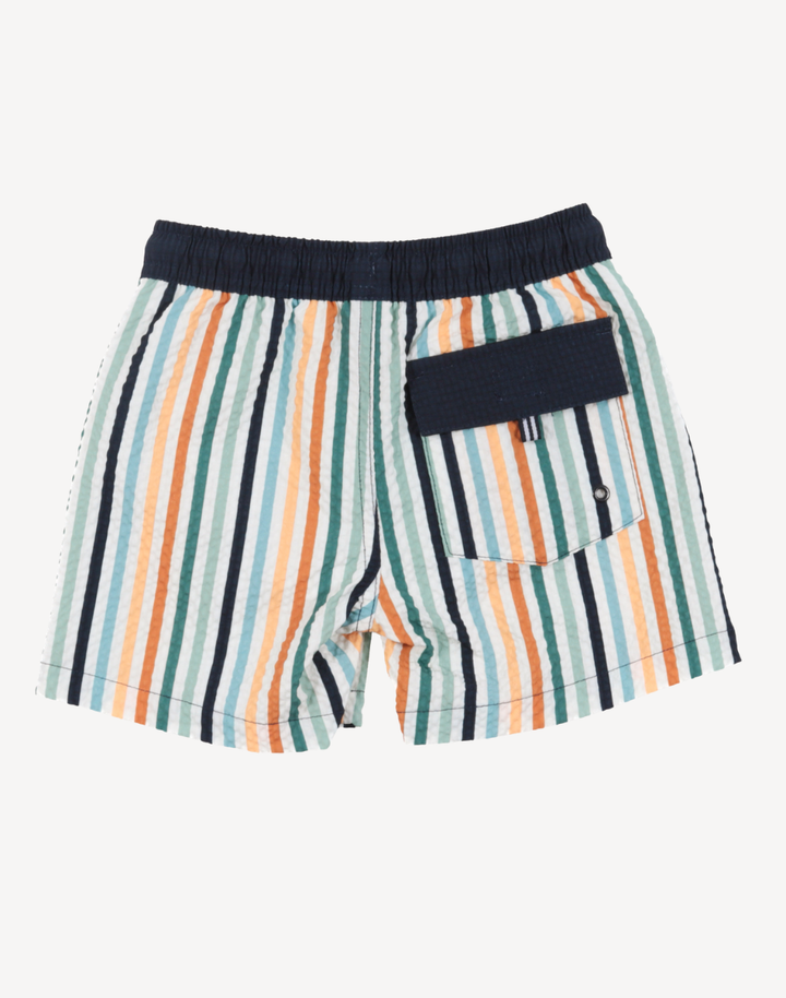 Boys Stripe Swim Trunk