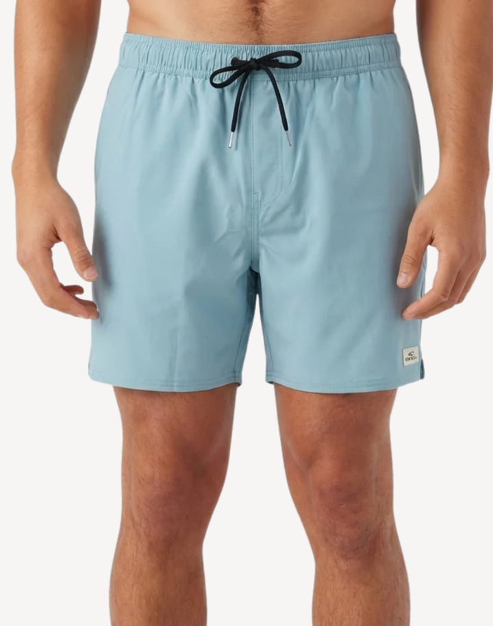 Solid 2.0 17 Swim Trunk