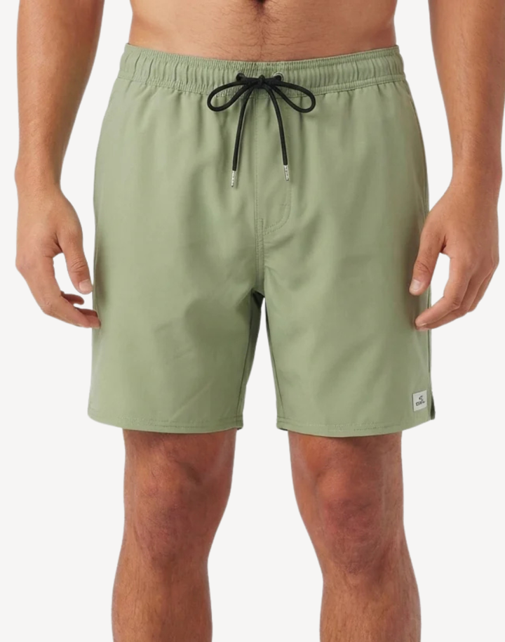Solid 2.0 17" Swim Trunk
