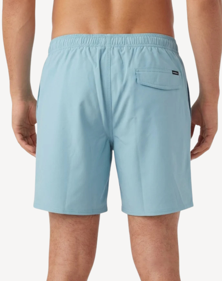 Solid 2.0 17 Swim Trunk