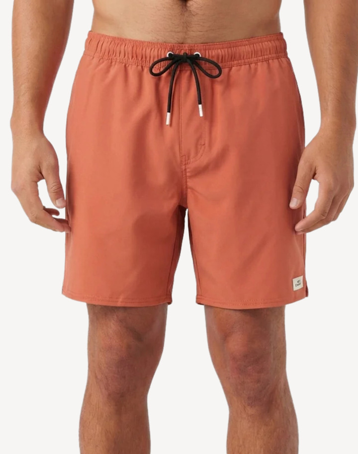 Solid 2.0 17" Swim Trunk
