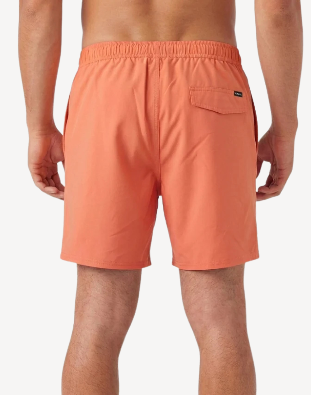 Solid 2.0 17" Swim Trunk