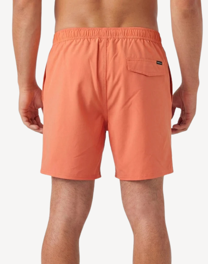 Solid 2.0 17" Swim Trunk