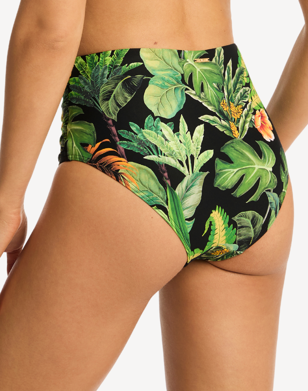 Lotus High Waist Bikini Bottom#color_lotus-black