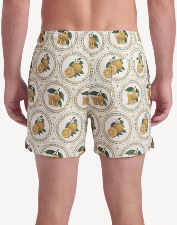 Citrus 17 Swim Trunk