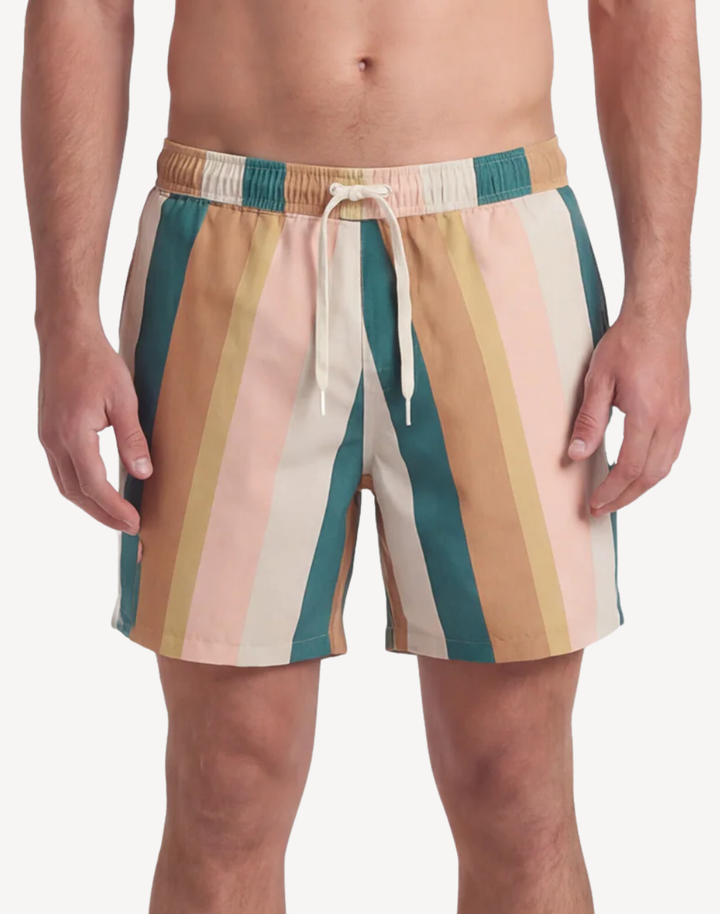 Stripe 17 Swim Trunk