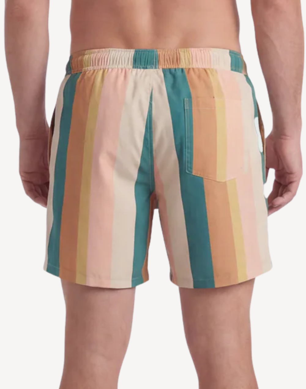 Stripe 17 Swim Trunk