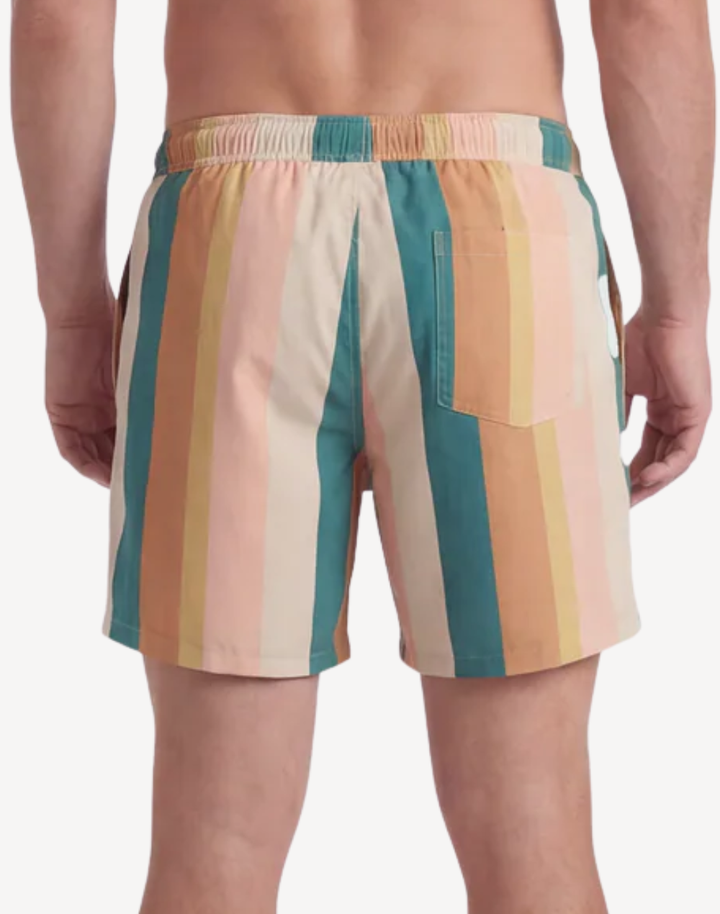 Stripe 17 Swim Trunk